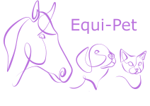 Anne_Logo_Equi-Pet2-lila